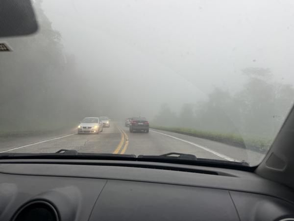 Cloud Forest